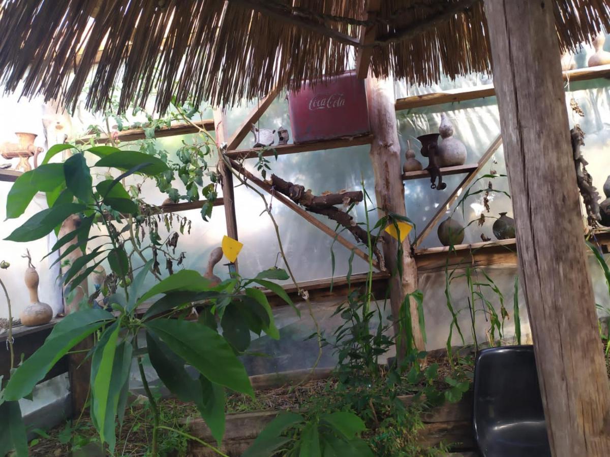 Casa Candombe Y Mar Barra de Valizas Dış mekan fotoğraf